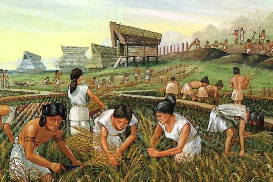 What Is A Traditional Economy? Characteristics, Examples, Advantages and disadvantages