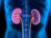 What is a Nephrologist? How To Become A Nephrologist