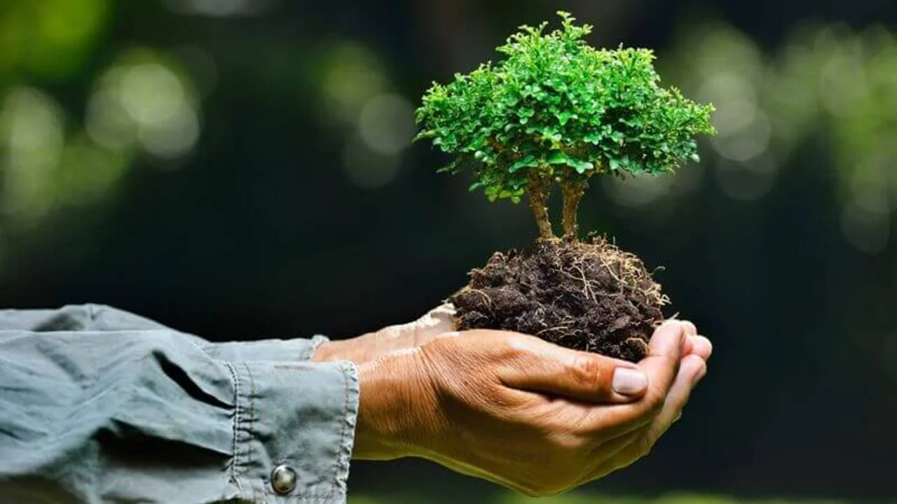 Is Environmental Services Career a Good Path? | Top Highest Paying Jobs In Environmental Services