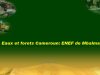 Concours Eaux et forets 2025-2026 Cameroun: ENEF de Mbalmayo
