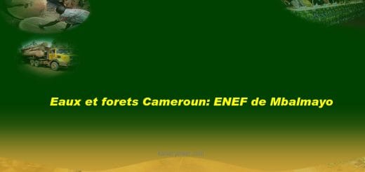 Eaux et forets Concours ENEF de Mbalmayo