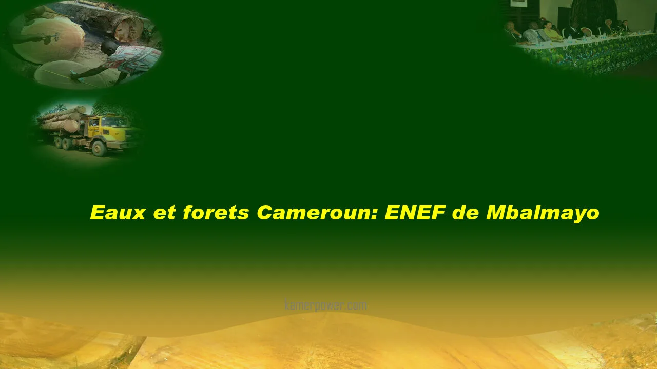 Eaux et forets Concours ENEF de Mbalmayo