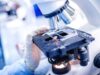 10 Microscope Safety Precautions And 5 Steps Of Using A Microscope