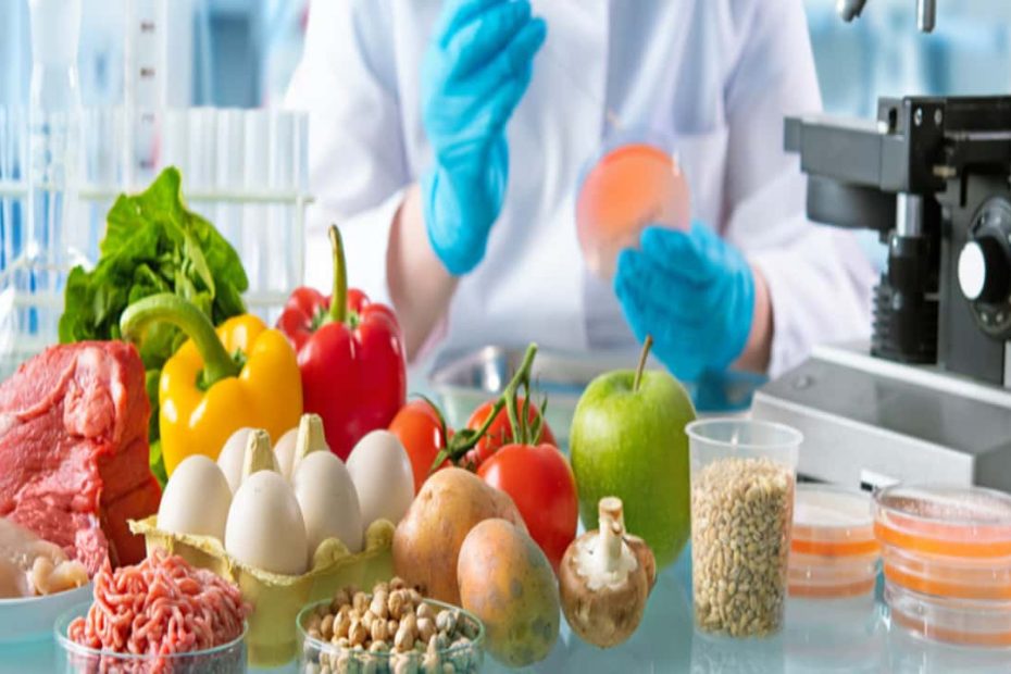 17 Best Grants For PhD In Nutrition And Food Science In World 2026