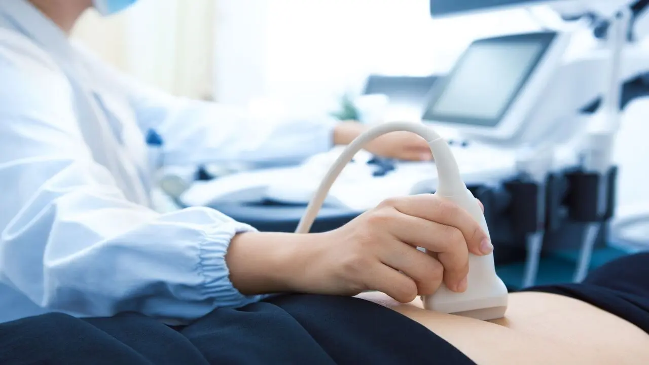 Top 20 Ultrasound Tech Programs And Schools In 2024 | 8 Month Ultrasound Tech Program Online