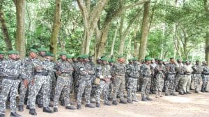 Coucours niveau BAC BEPC Eaux et Forets en Côte d’Ivoire 2026/2027
