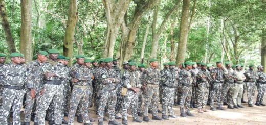 Coucours niveau BAC BEPC Eaux et Forets en Côte d’Ivoire 2026/2027