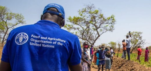 FAO recrutement - Emploi à la FAO Organisation des Nations Unies pour alimentation et agriculture