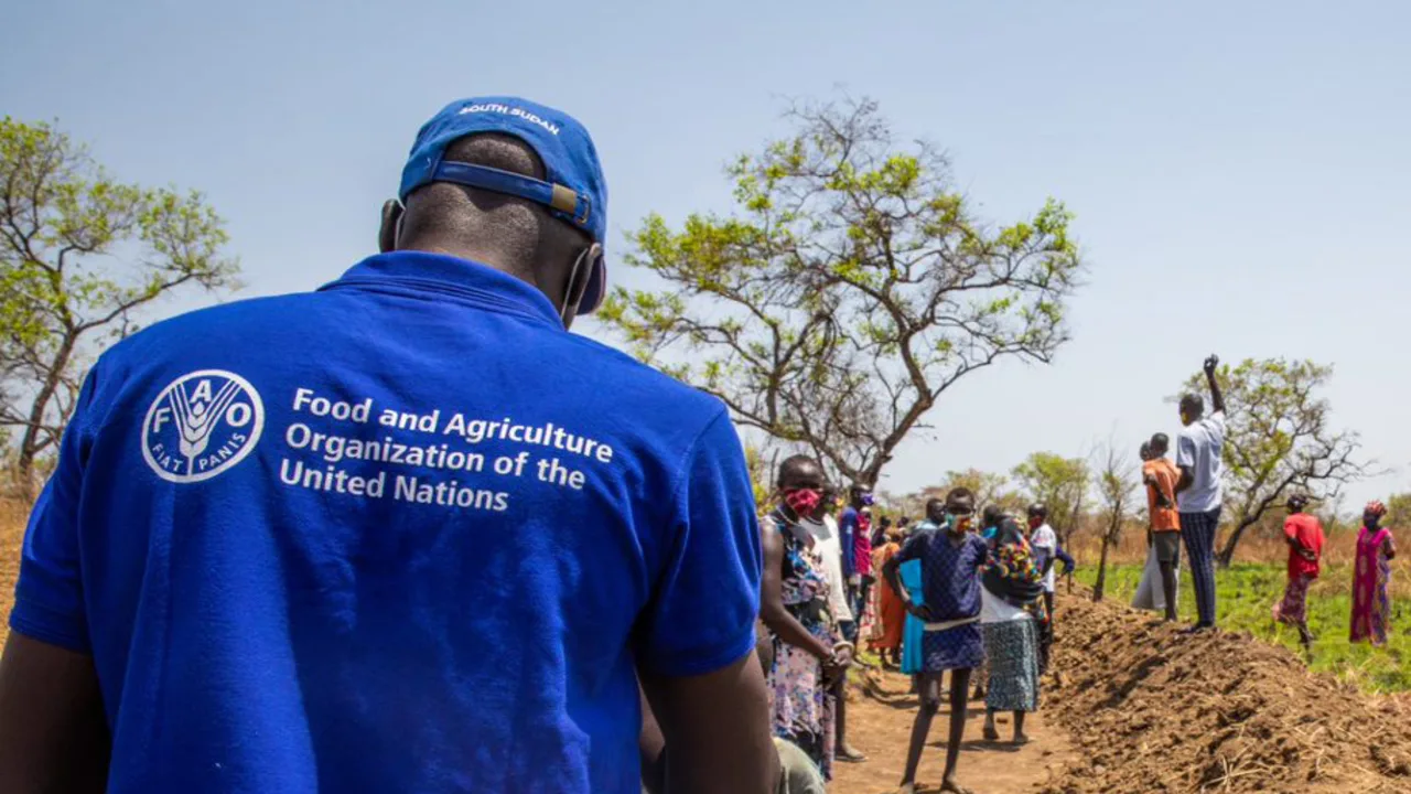 FAO recrutement - Emploi à la FAO Organisation des Nations Unies pour alimentation et agriculture