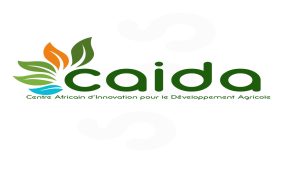 Appel à Candidature Programme Centre Africain d’Innovation pour le Développement Agricole (CAIDA)
