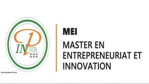 Master MEI INP-HB - Institut National Polytechnique Félix HOUPHOUËT-BOIGNY