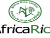 Appel à Candidatures pour le recrutement AfricaRice Afrique centrale