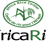 Appel à Candidatures pour le recrutement AfricaRice Afrique centrale