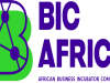 Le programme d’accélération BIC Afrique de l’Union Europeene : Candidatures ouvertes