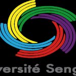 Coopération Europe Afrique / Appel à candidatures en Master 2 en Relations internationales Université Senghor