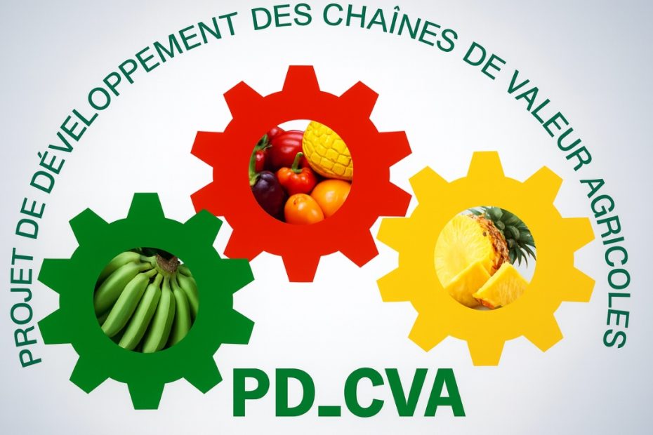 Recrutement PD_CVA Projet de developpement des chaines de valeurs agricoles