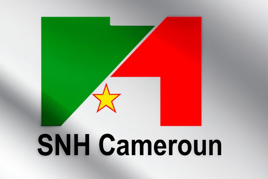Recrutement SNH Cameroun - Société Nationale des Hydrocarbures